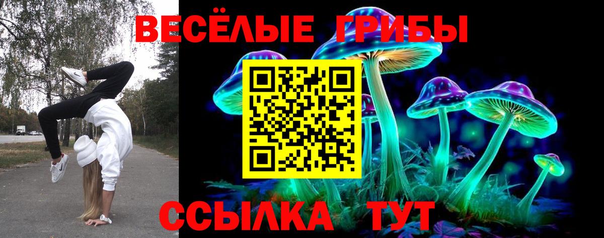 Дятьково  Галлюциногенные грибы Cubensis  Галлюциногенные грибы ЛСД  купить наркотики сайты  Вход с VPN 