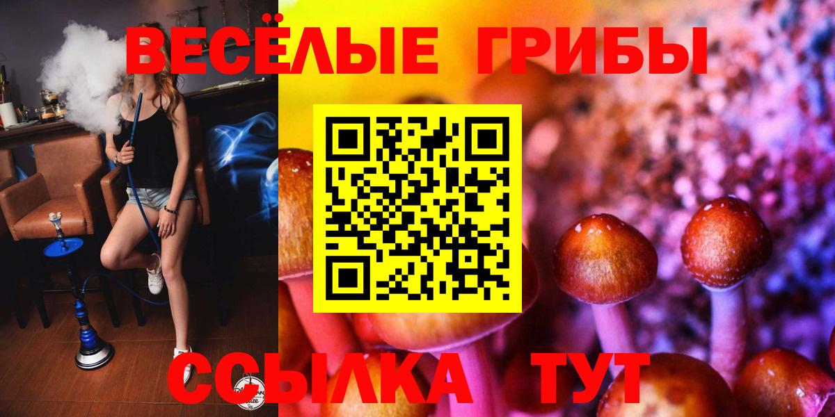 Галлюциногенные грибы ЛСД Дятьково